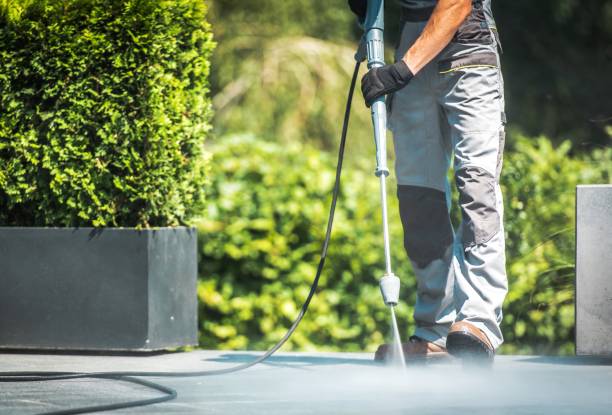 Best Building Exterior Washing  in Cameron Park, TX